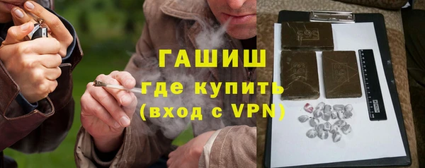 гашик Алексин