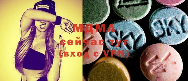 гашик Алексин