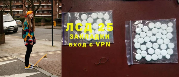 гашик Алексин