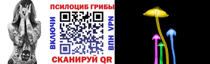 где найти наркотики  Злынка  Галлюциногенные грибы Magic Shrooms 